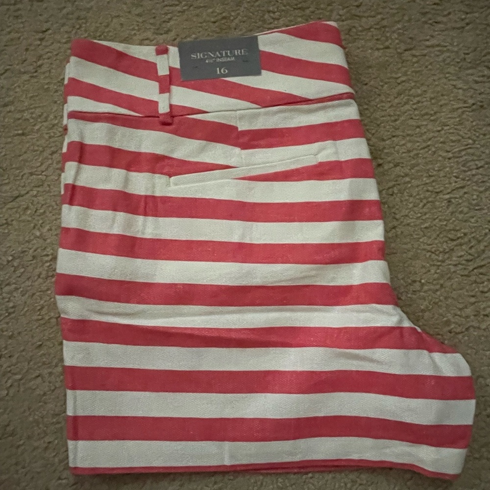 Anne Taylor Signature size 16 striped shorts